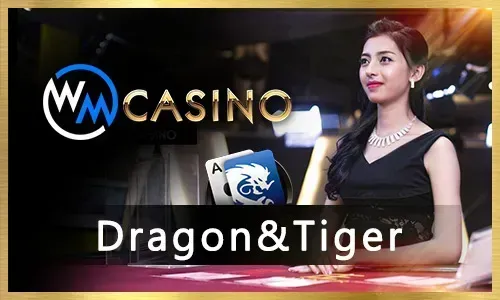 Winslot Dynamic Odds